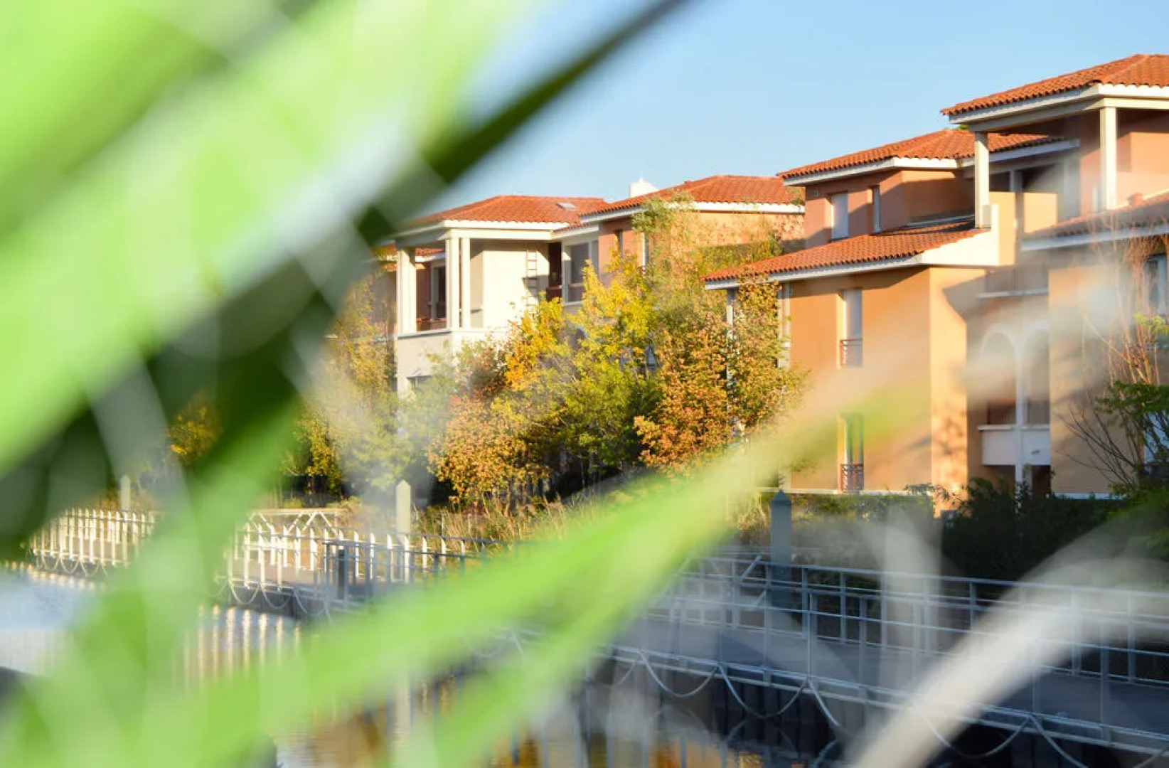 Mimozas Resort Cannes