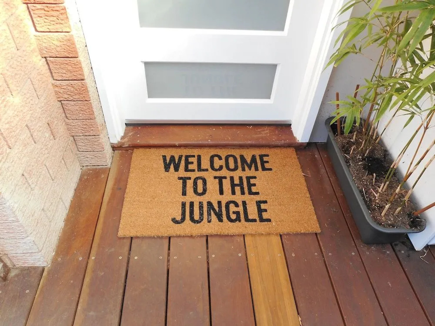 The Little Jungle Studio