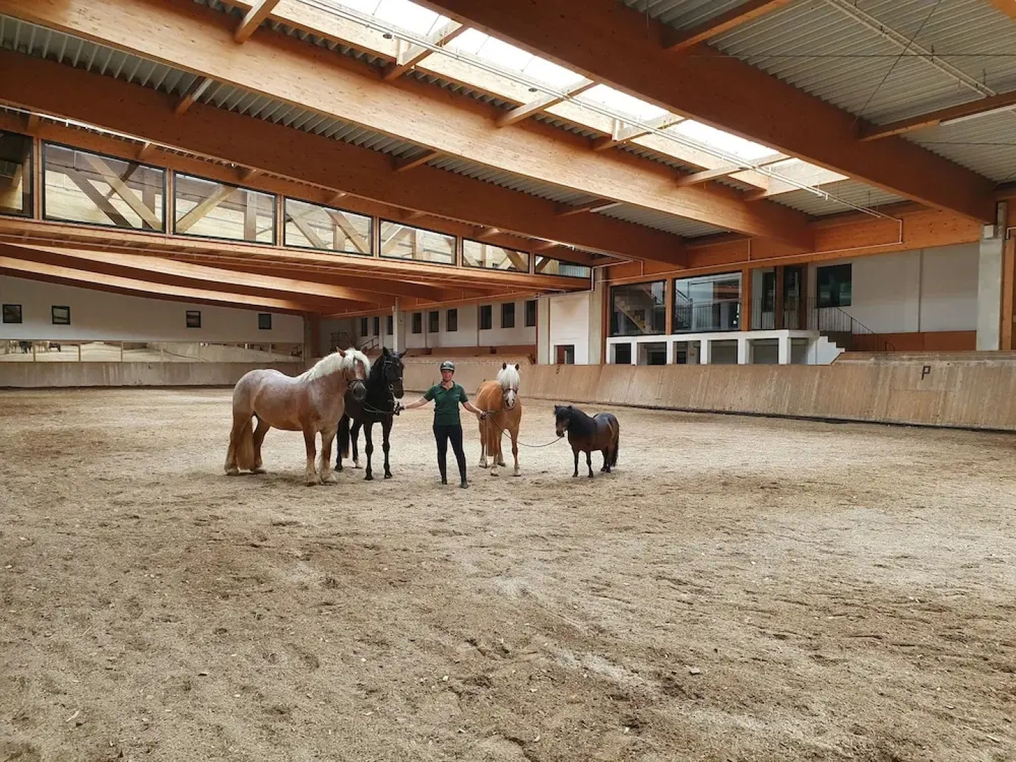 Reit-und Sporthotel Nordmann