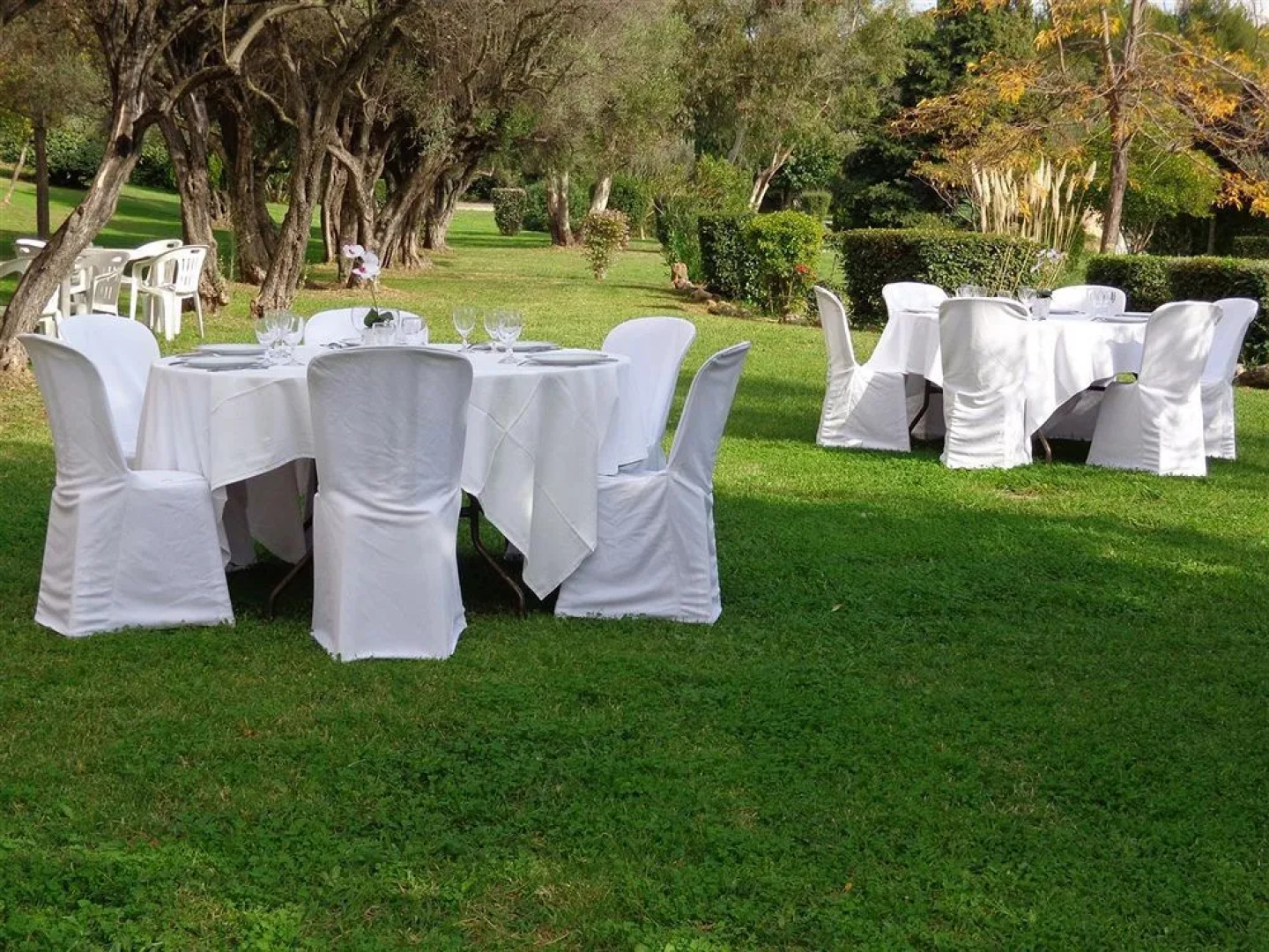 Le Domaine des Oliviers