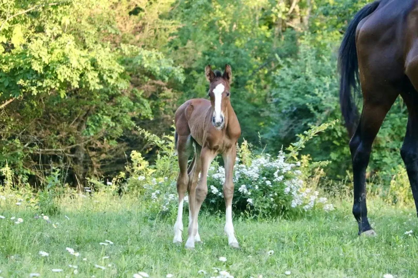 The Inn on Lake Champlain