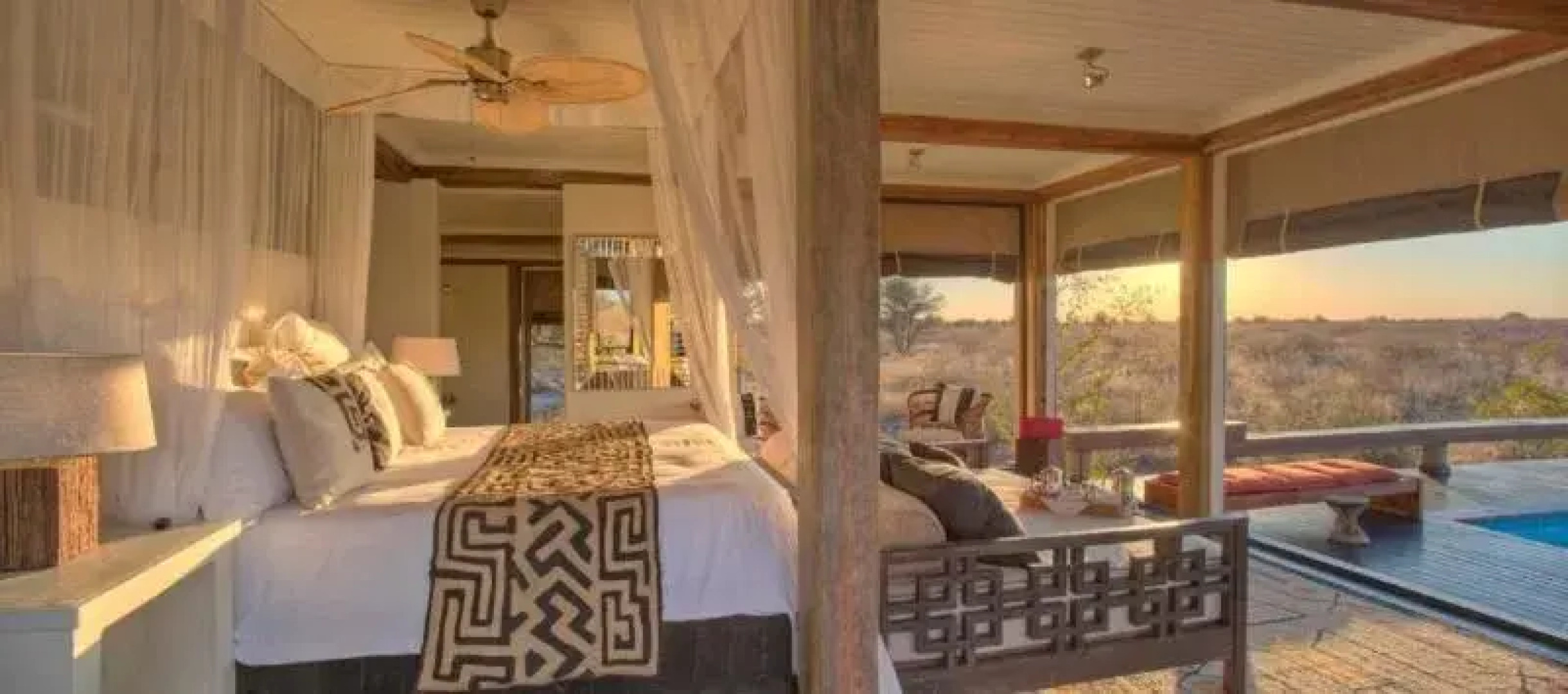 Feline Fields By Mantis