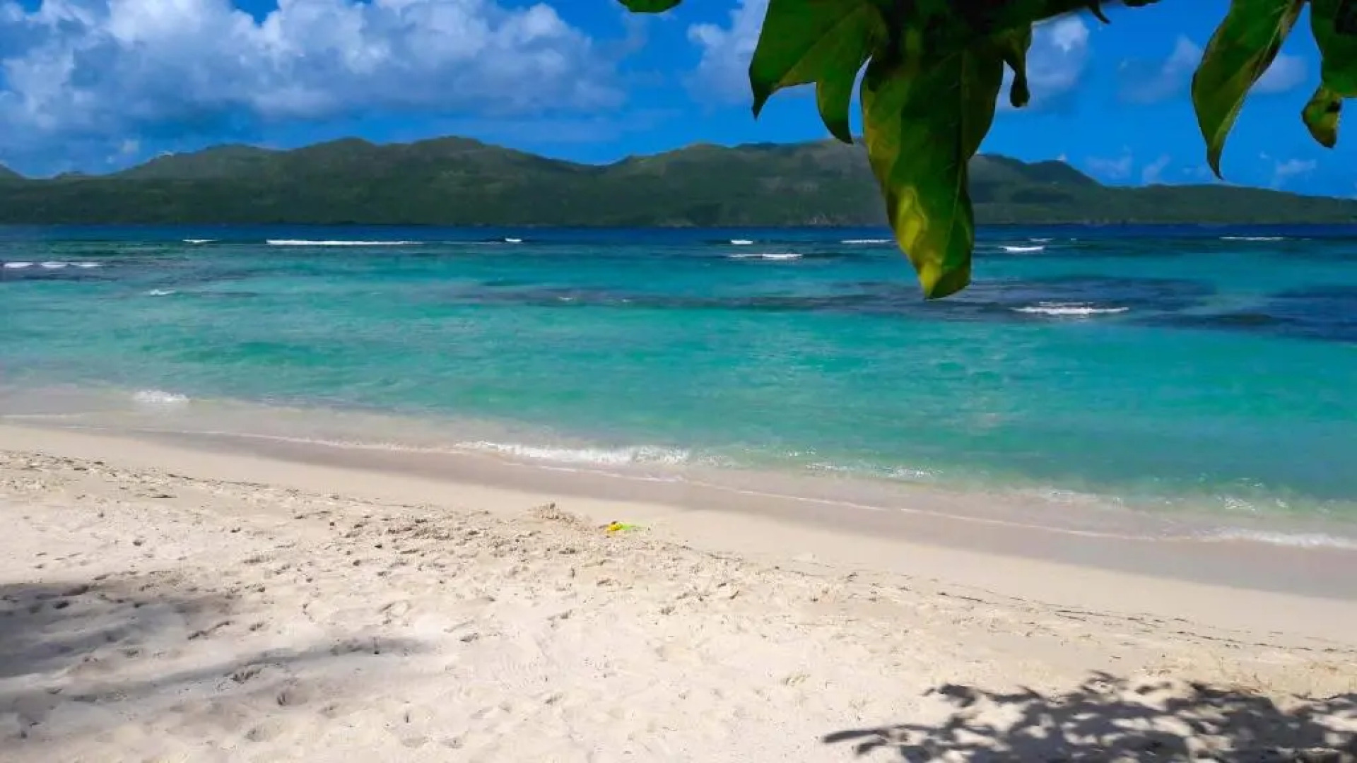 Jasmine La Playita - Ocean Front