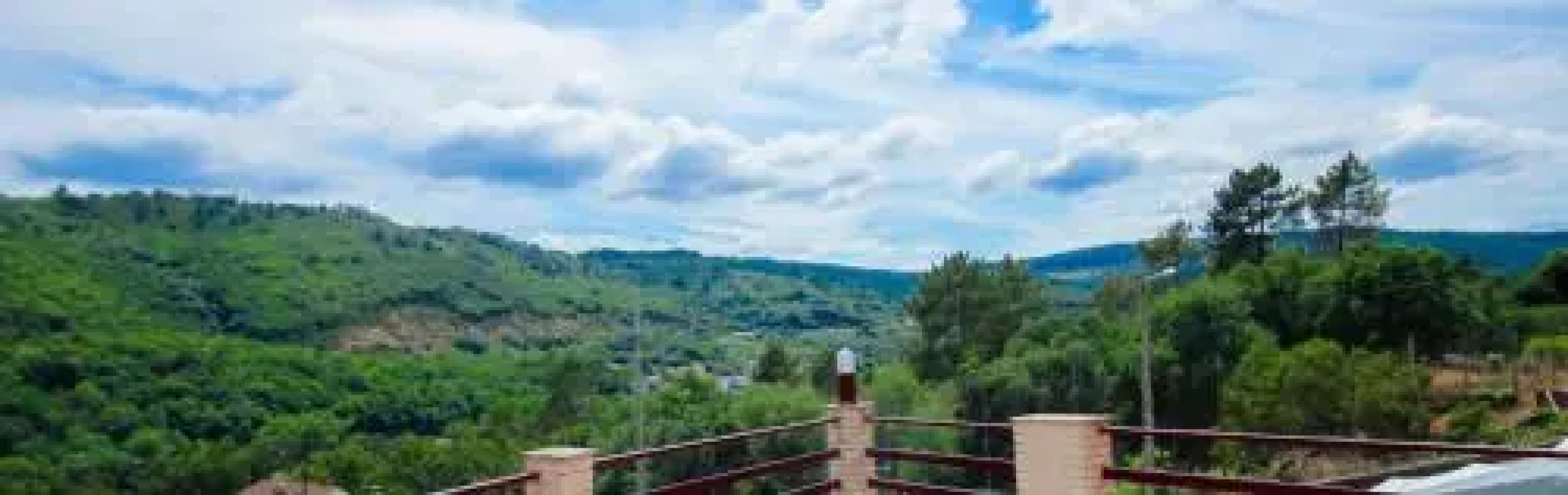 Hotel As Termas de Ourense