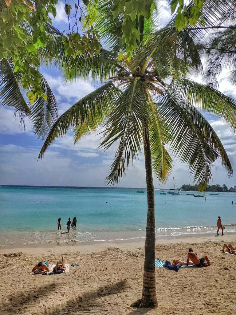 Residence Red Lory Pereybere