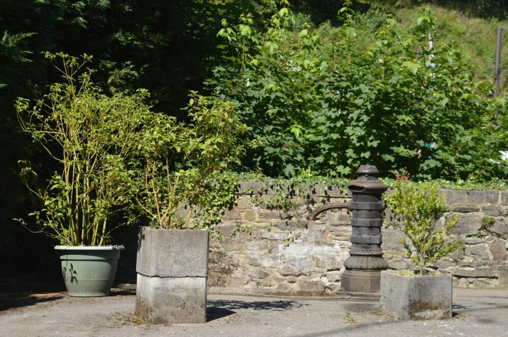 Hôtel Le Saint-Hubert