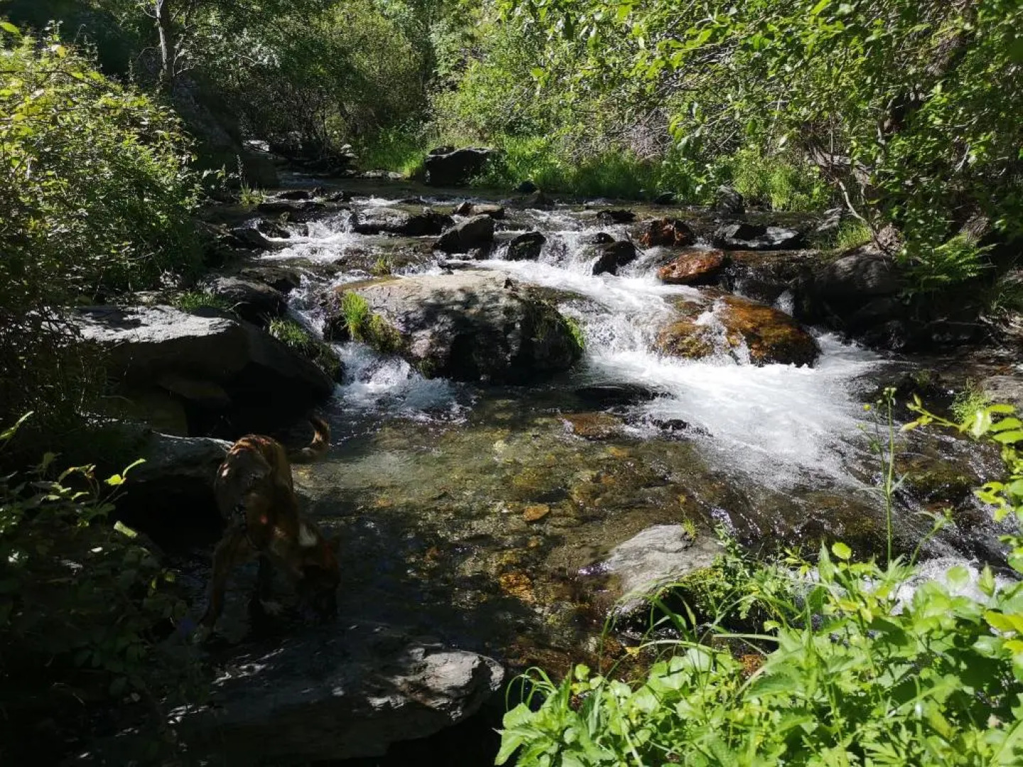 Guejar Sierra House with Spectacular Views
