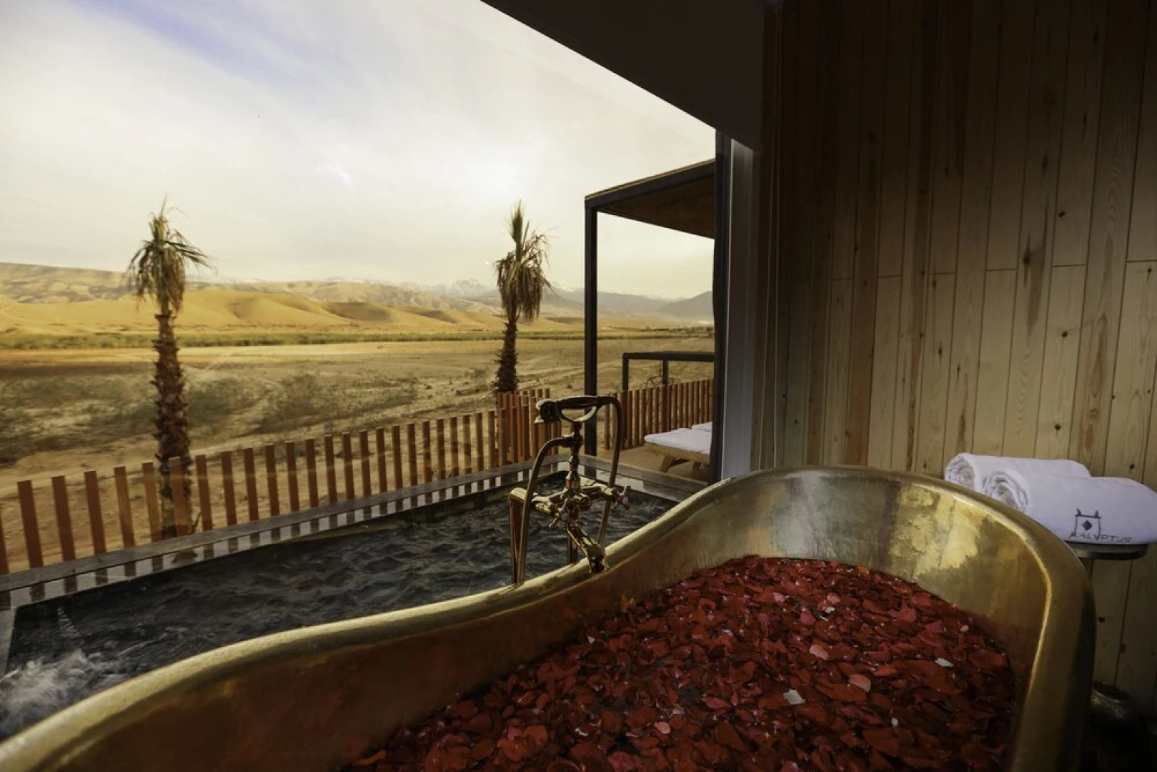 Kalyptus Luxury Camp