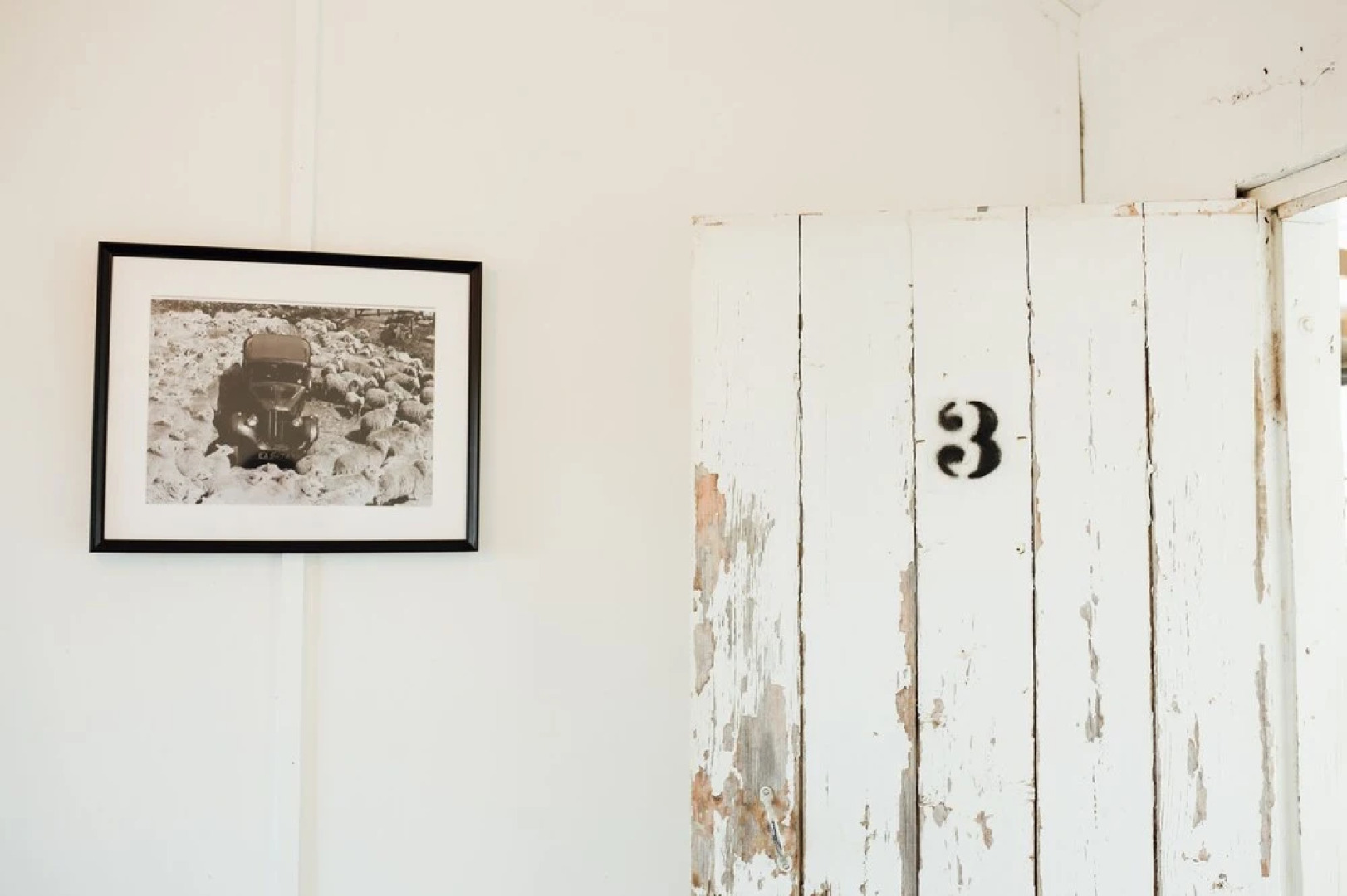 Mount William Station