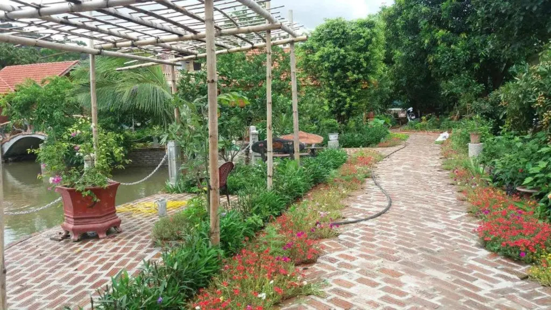 Tam Coc Green Garden Bungalow