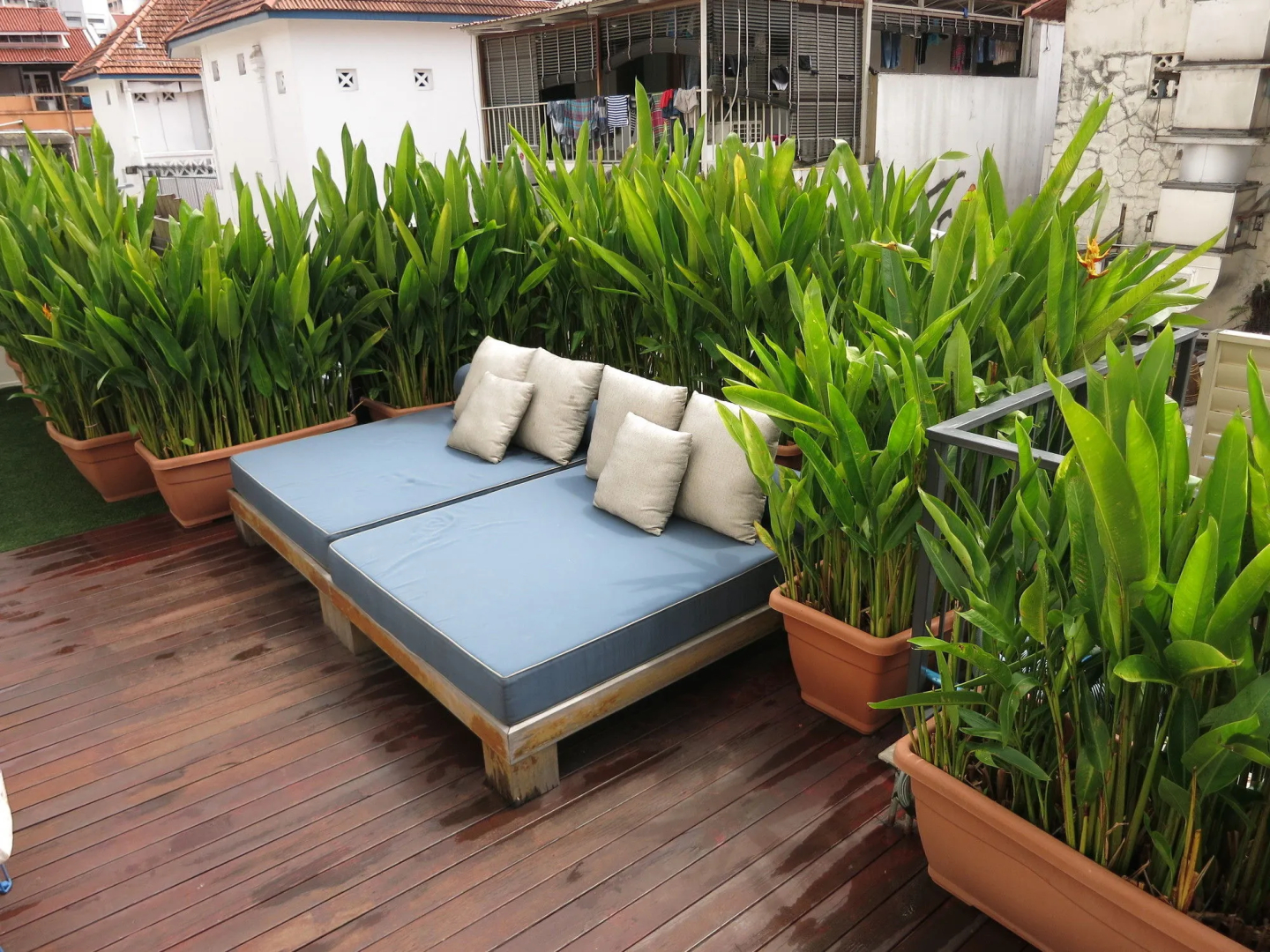 The Daulat by Hotel Calmo