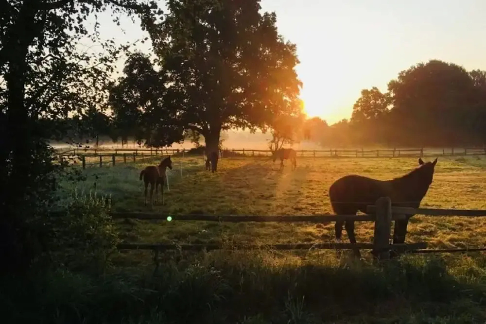 Apartment in Neustadt am Rubenberge