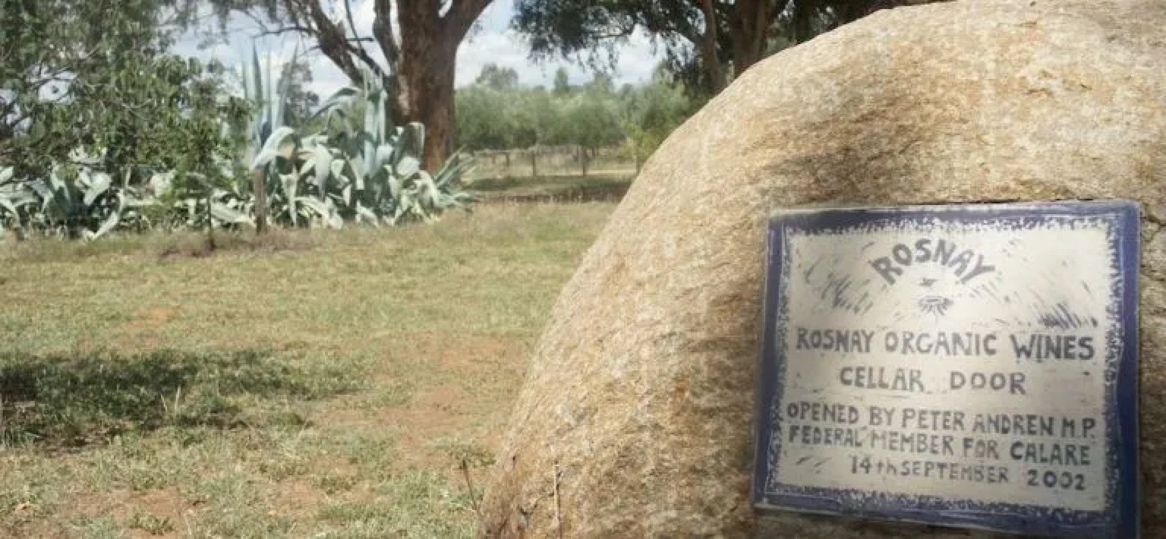 Rosnay Organic Vineyard, Olive Grove, Figs and Farmstay
