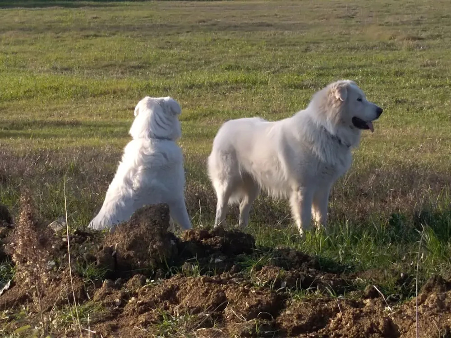 Agriturismo Fattoria Didattica I Due Mondi