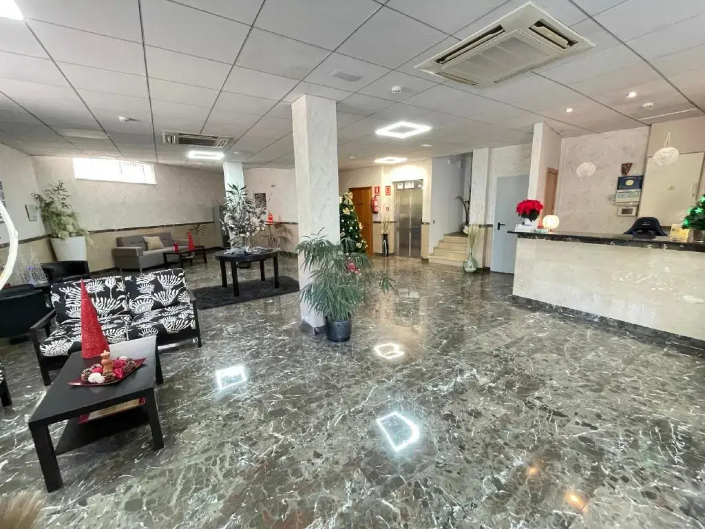 Apartamentos Avenida