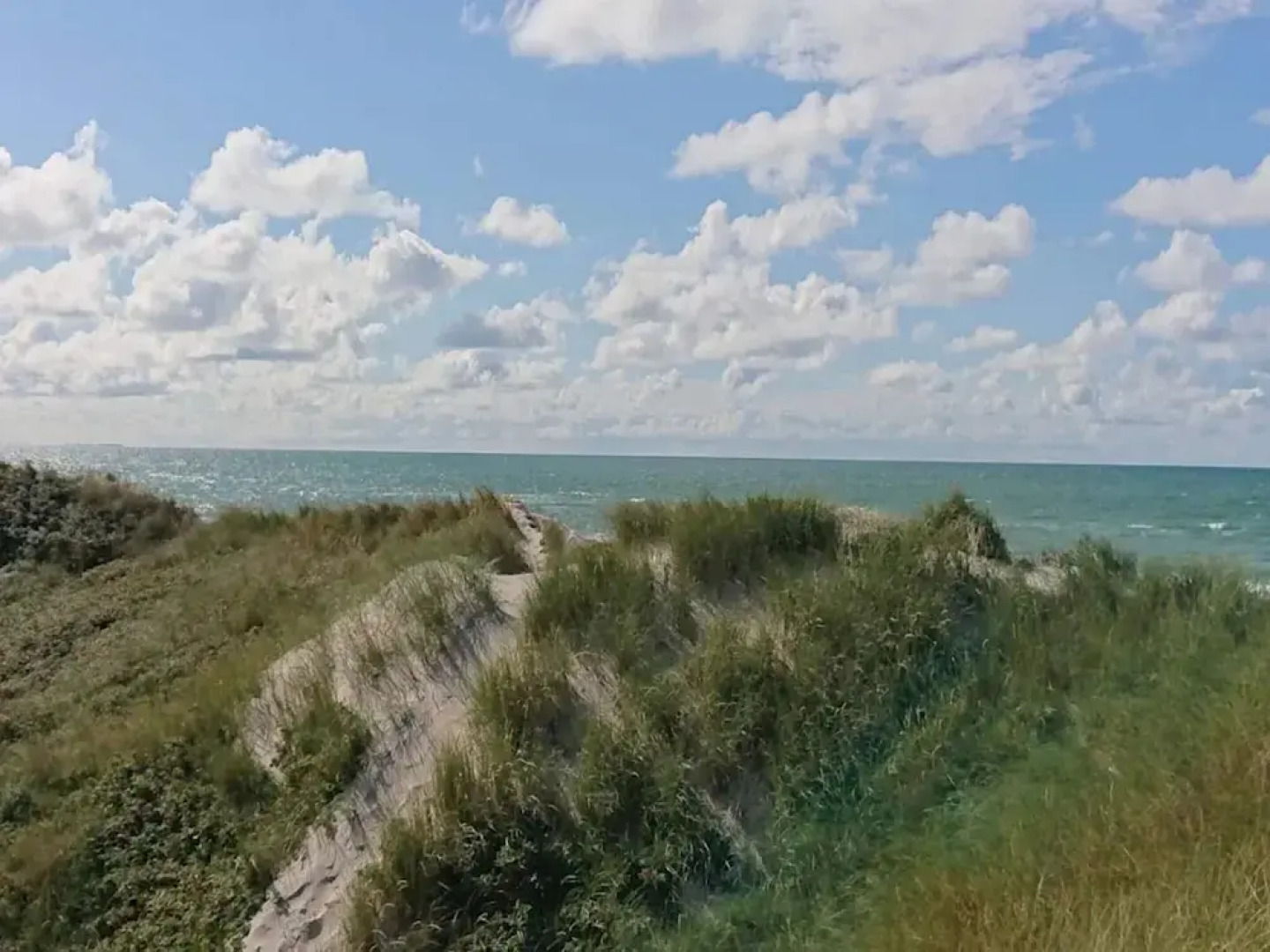 8 Person Holiday Home in Blokhus