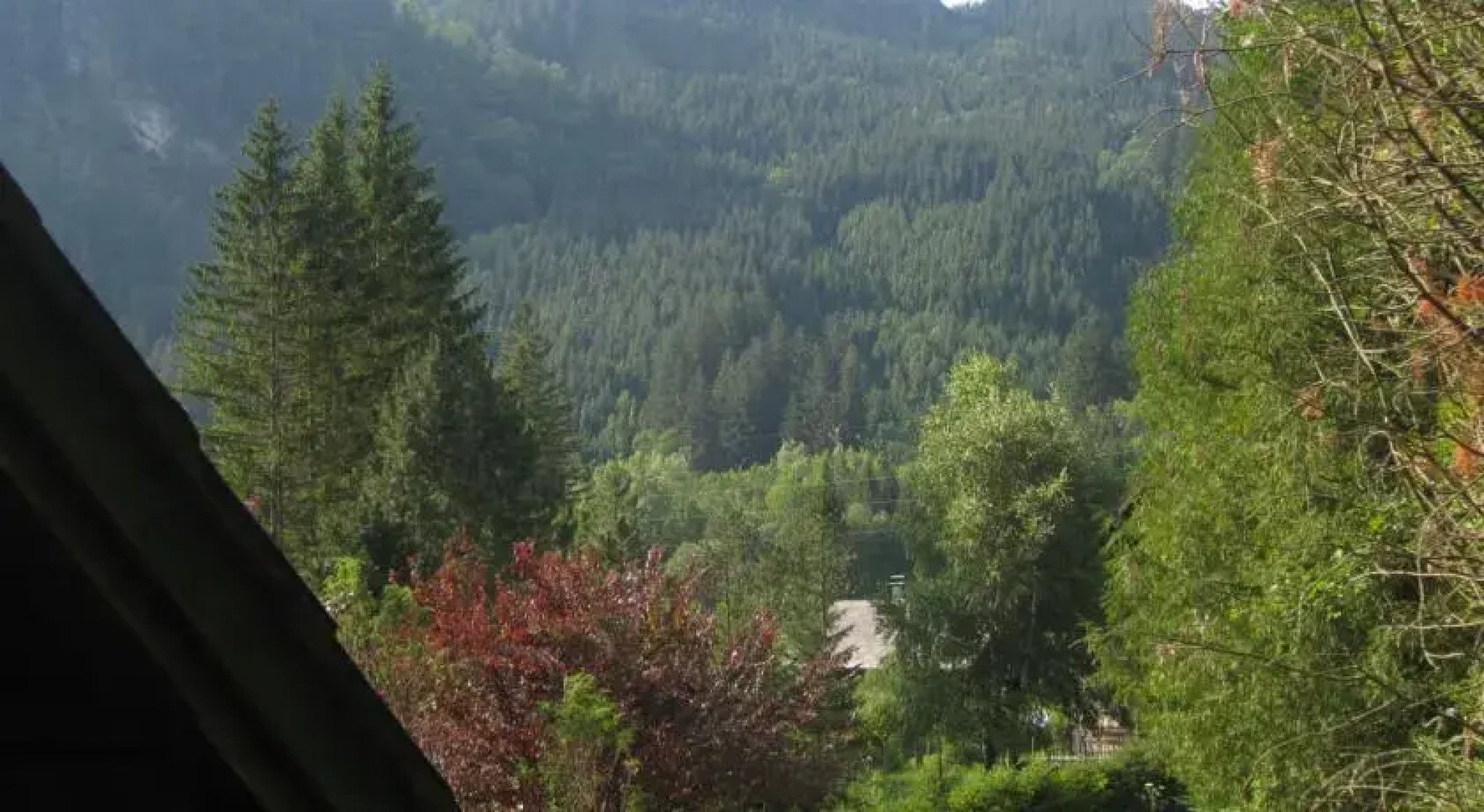 Ferienhaus Erlaufboden