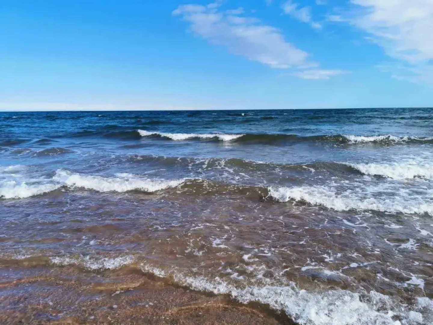 Down The Garden Path Vintage Caravan B&B