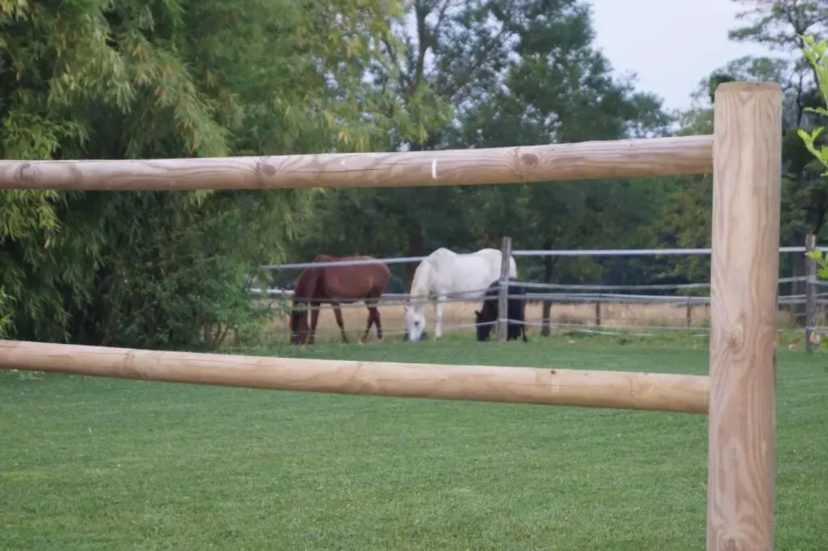 chambre d’hôtes la jument grise