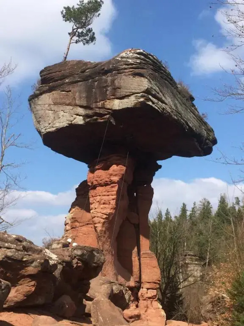 Ferienwohnung am Waldrand