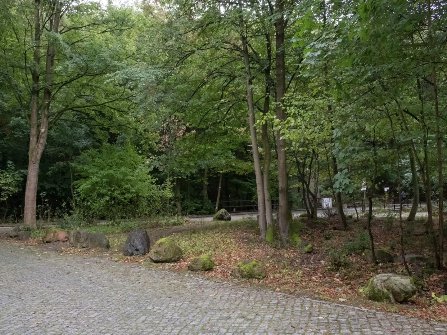 Ferienwohnung im Herzen Ilsenburgs