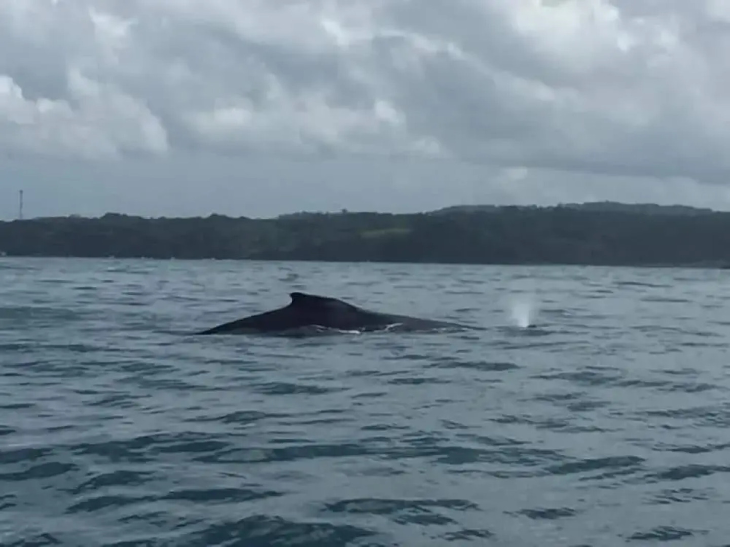 Casa Alice Surf Lodge - Hostel