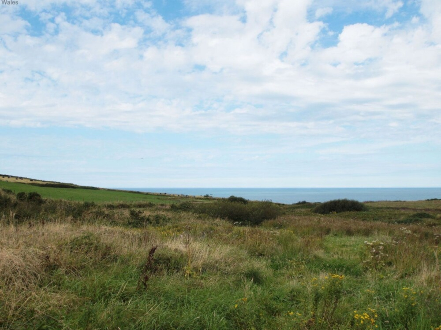 Y Storfa St Davids in St Davids