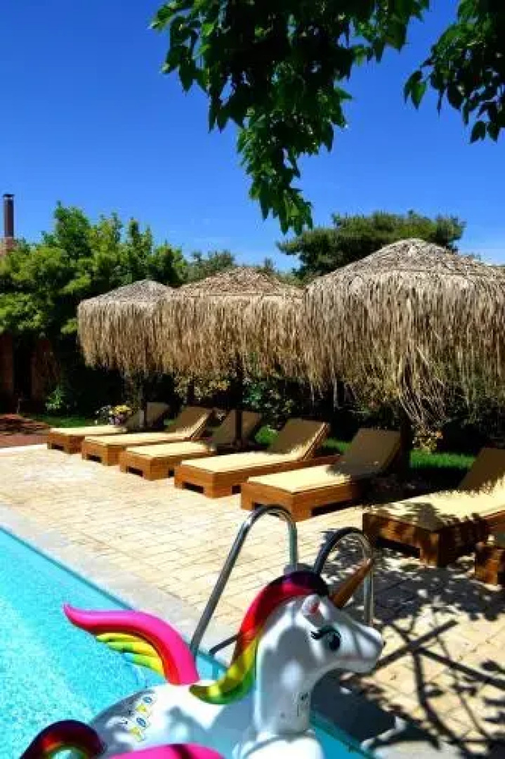 Turdus Merula 2 Villas