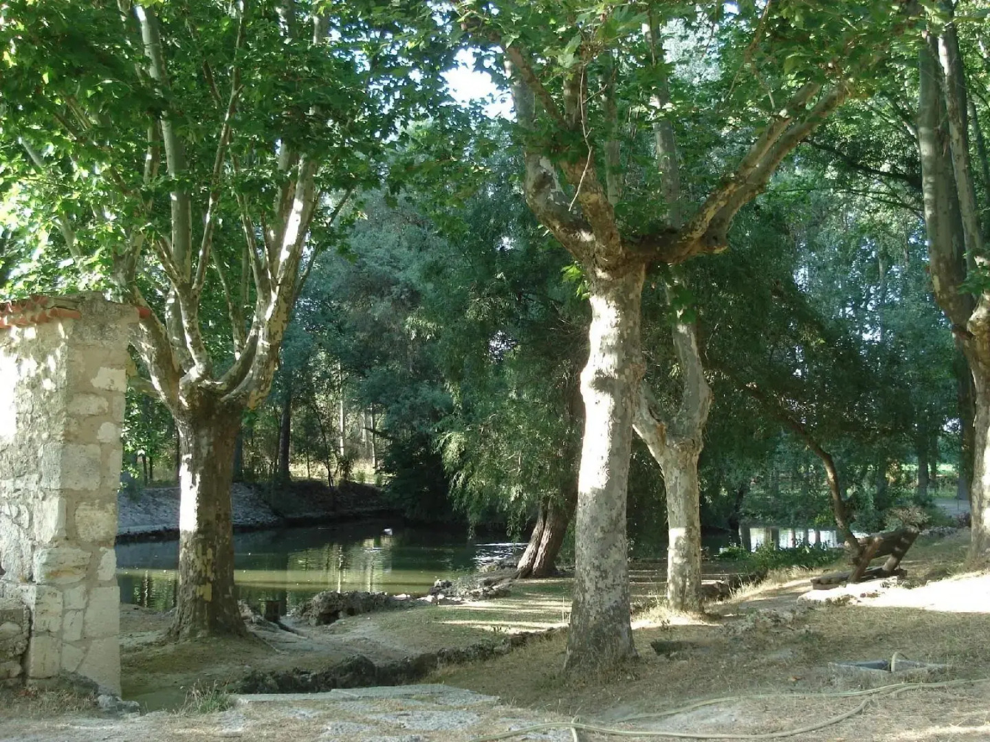 El Rincon del Labrador