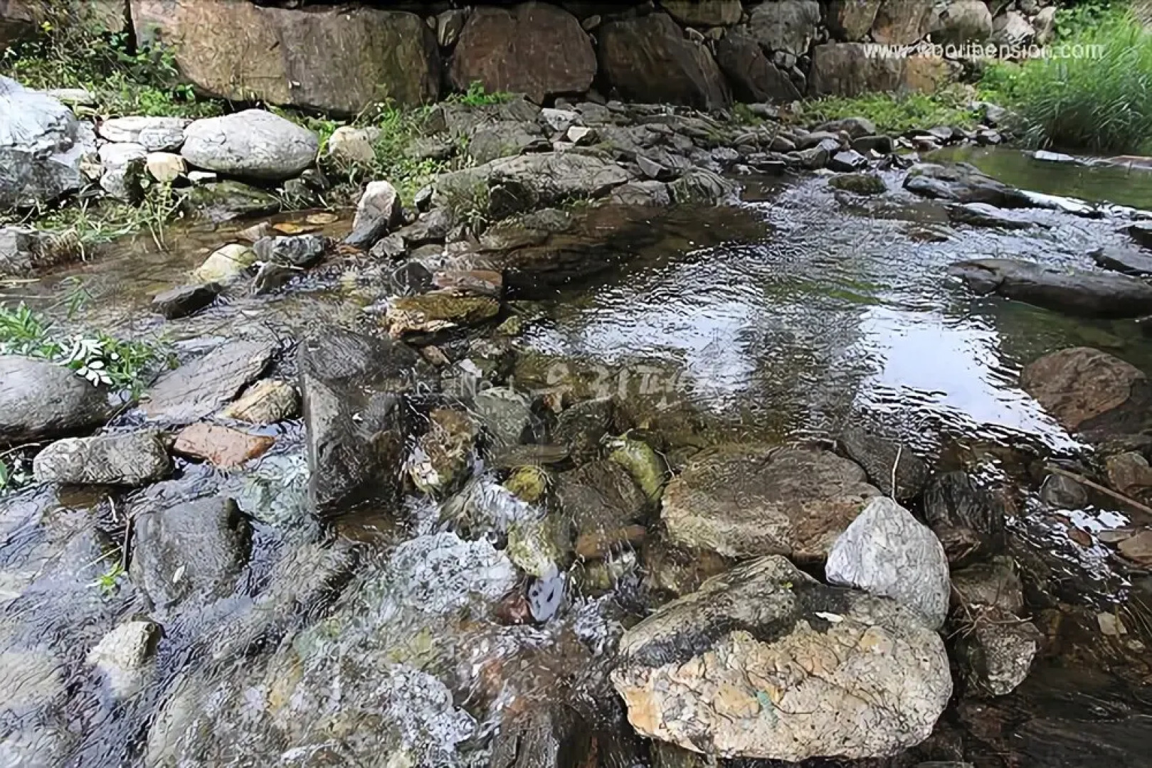 Yangpyeong Evergreen Healing Pension