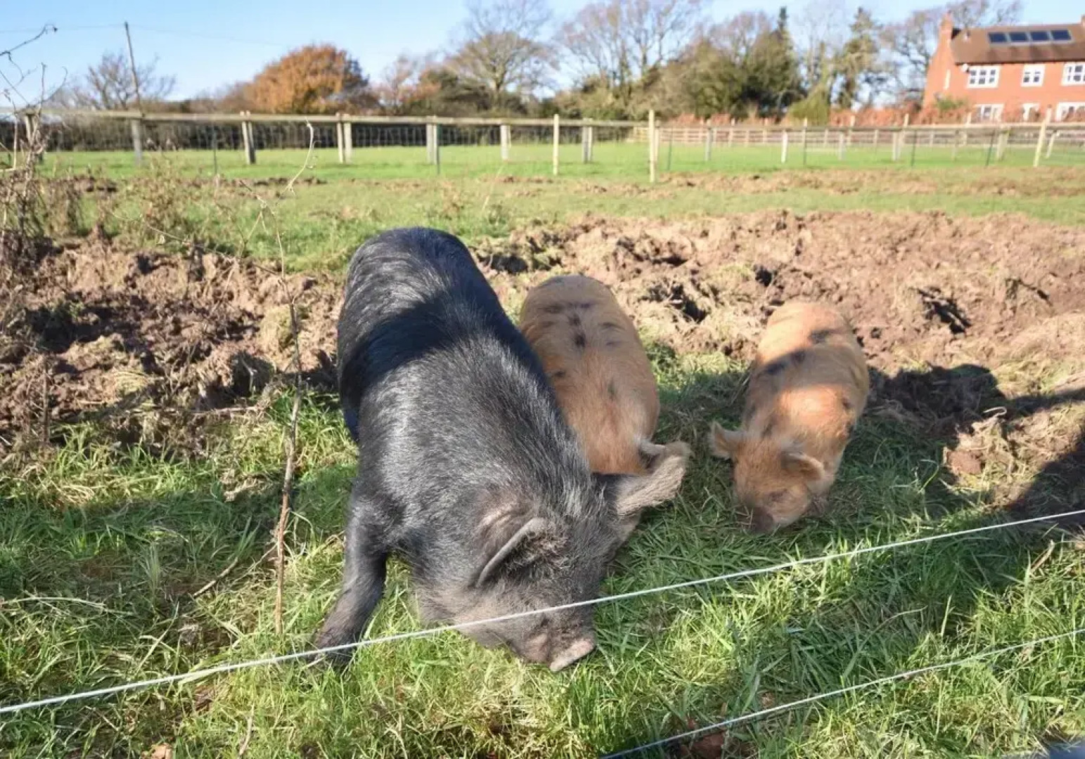 Tithe is a Stunning Barn Conversion Close to Ryde Sleeps 6