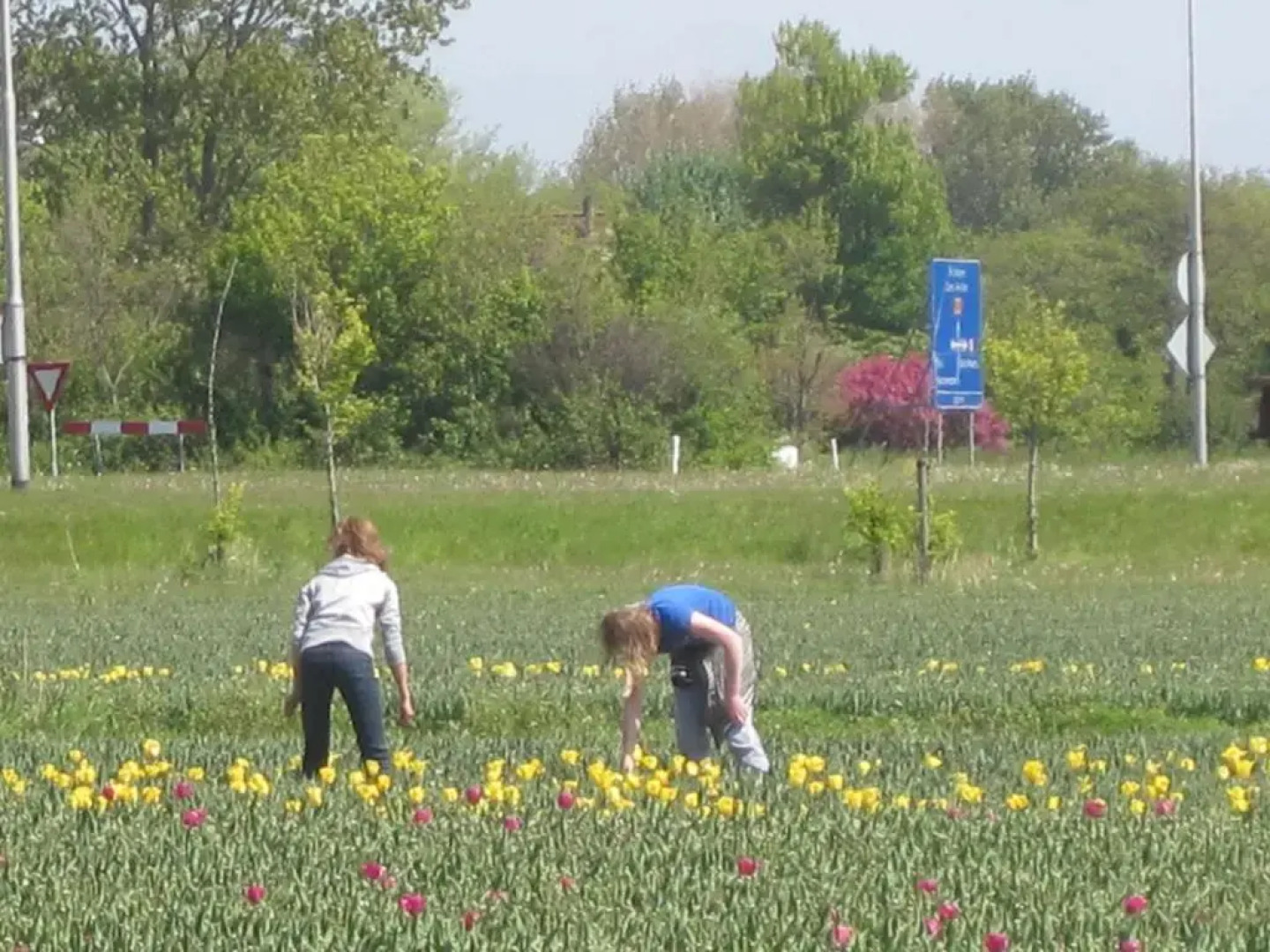 Bungalow in Eureka With Spacious Garden