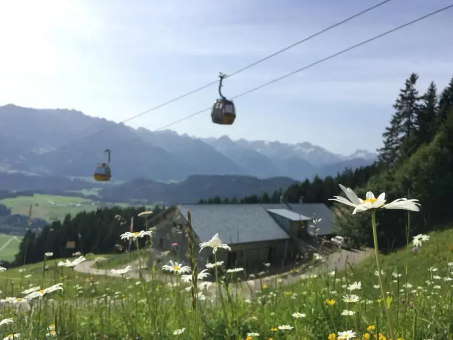 Klein+Fein 1-Raum-Appartement