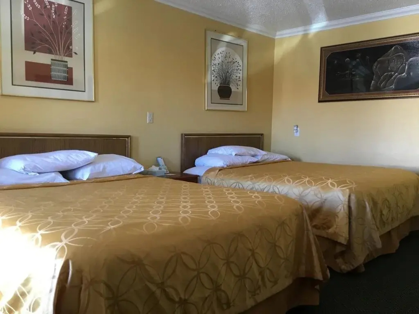 Budget Inn Plainview