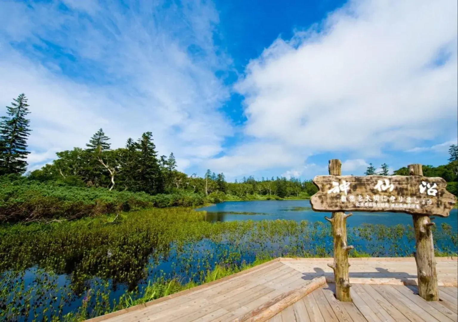 Niseko Northern Resort An'nupuri