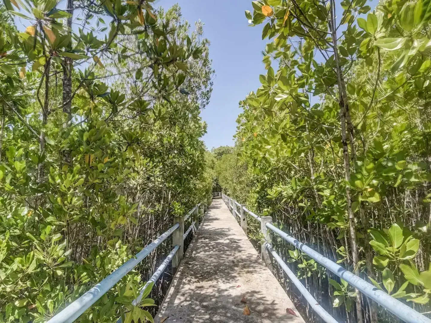 Desa Wisata Bahoi By OYO