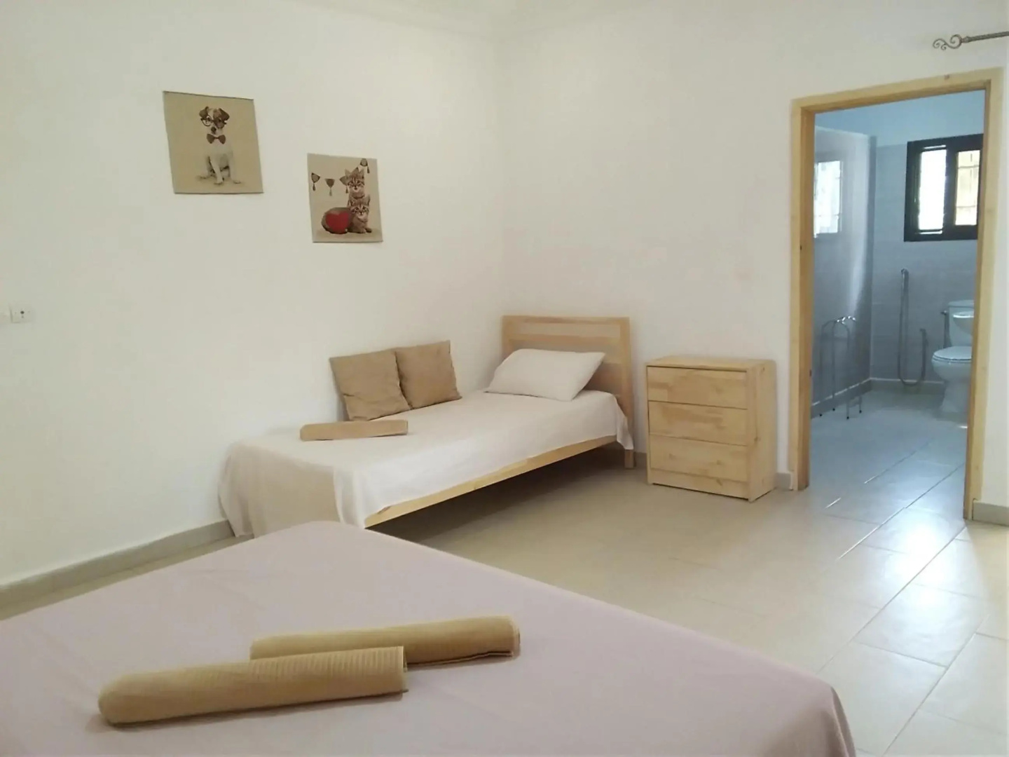 Real Owl Guest House