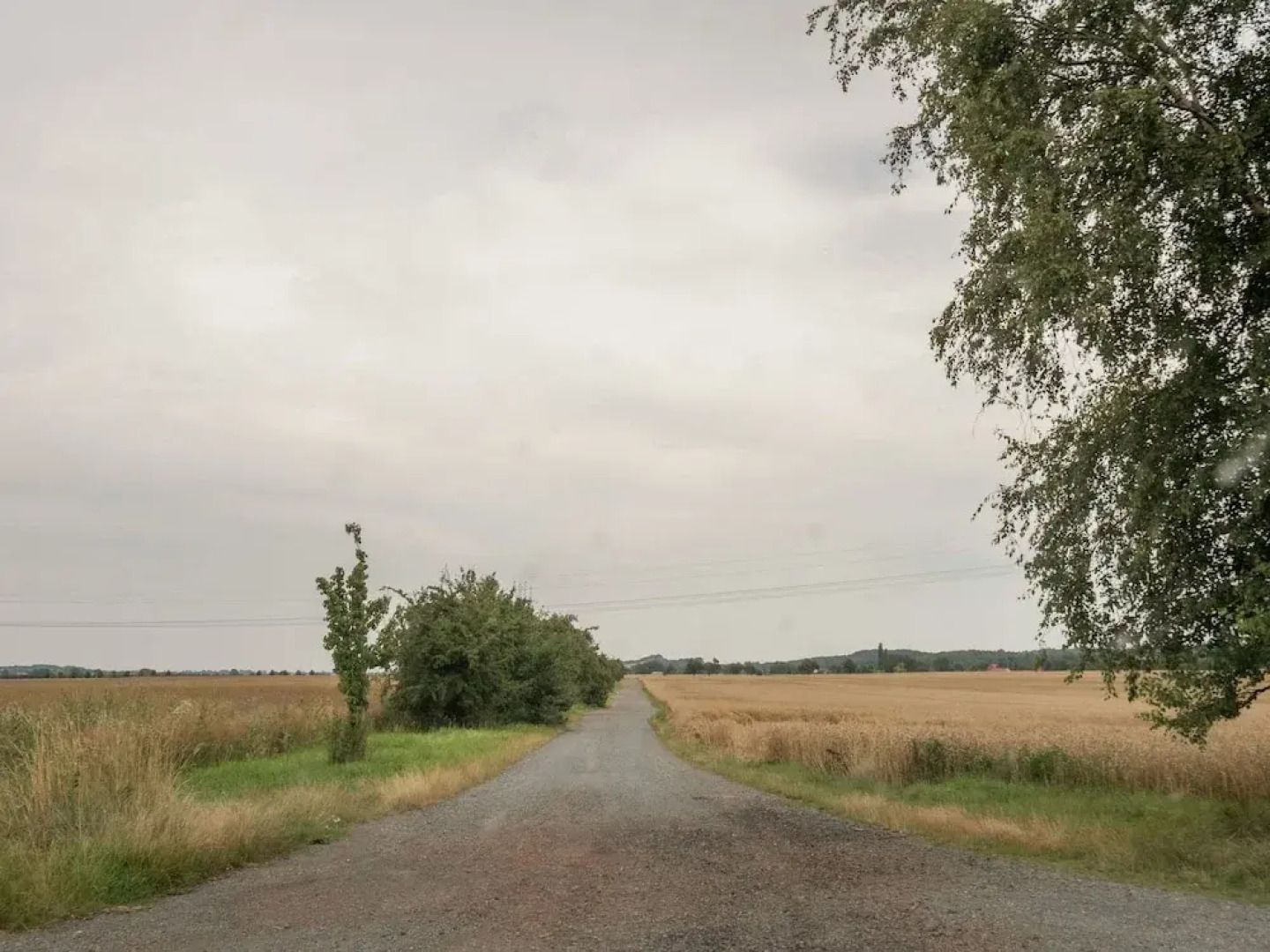 Luxurious Holiday Home in Rieder Harz With Sauna