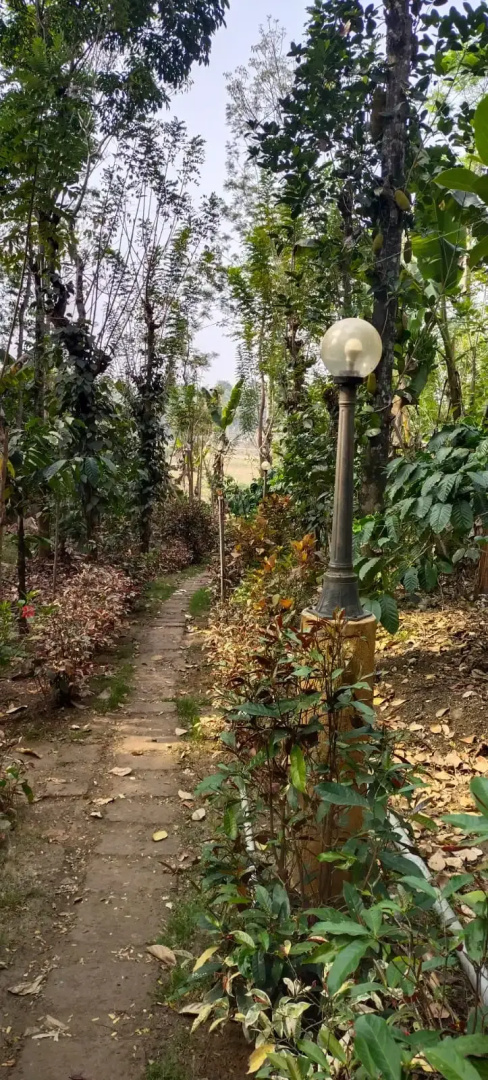 George's Cottages & Resorts