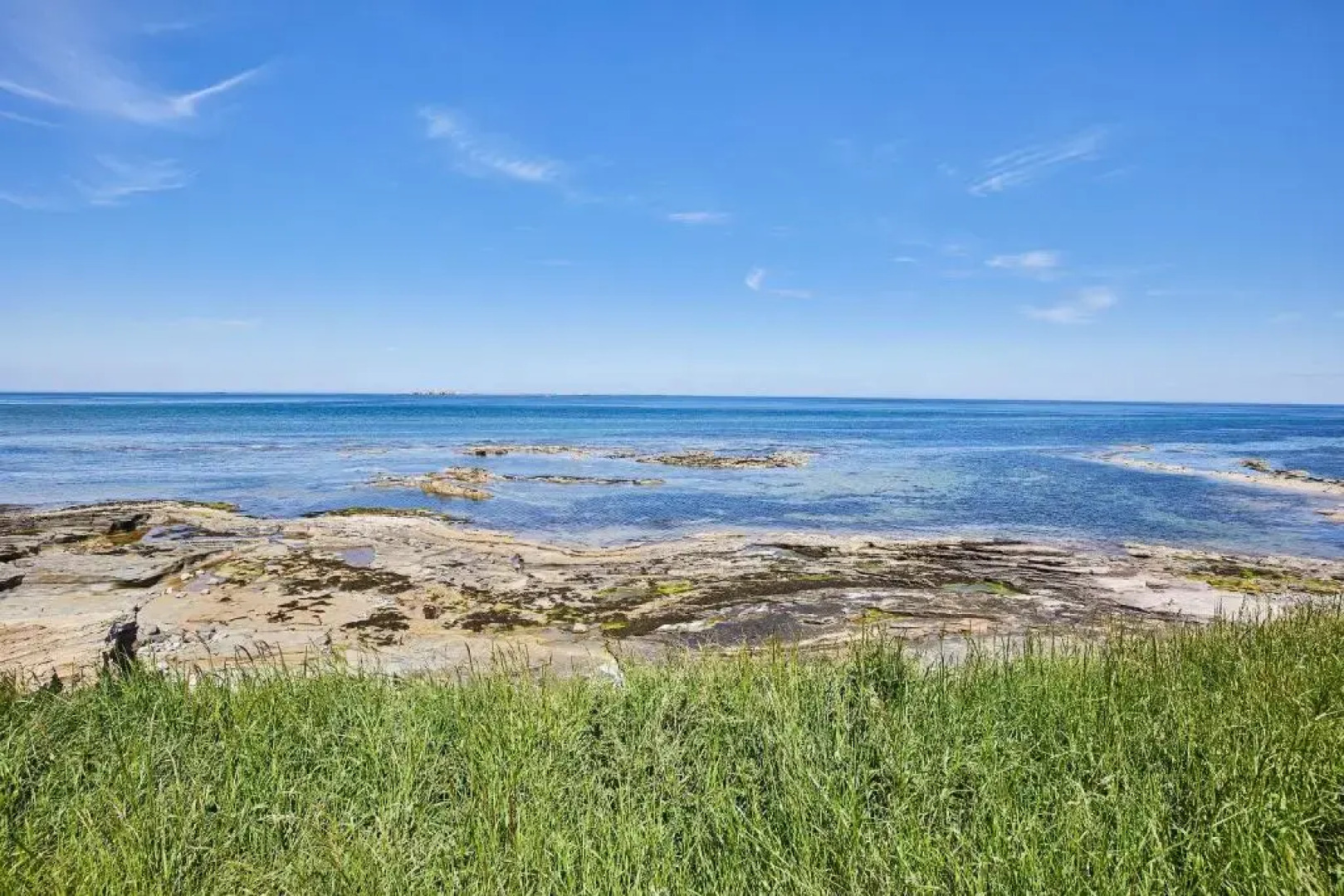 Host Stay The Puffins Nest