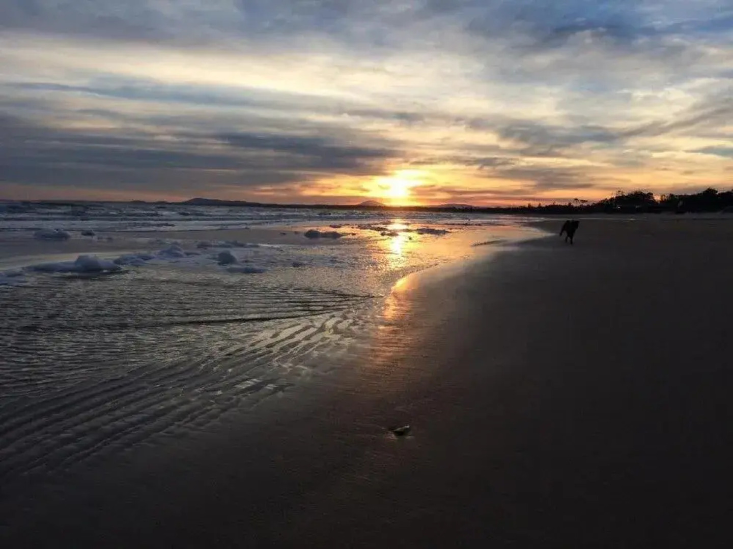 Hostel Punta Ballena Bar