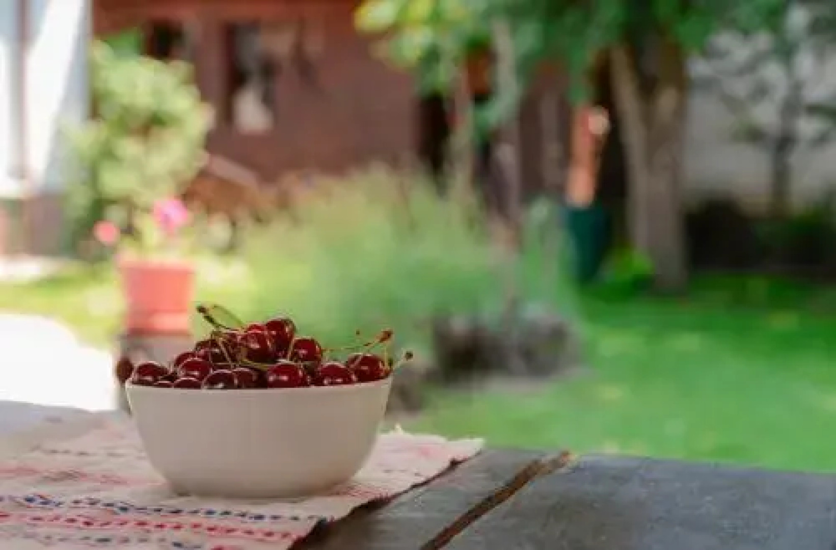 Guesthouse La Despani