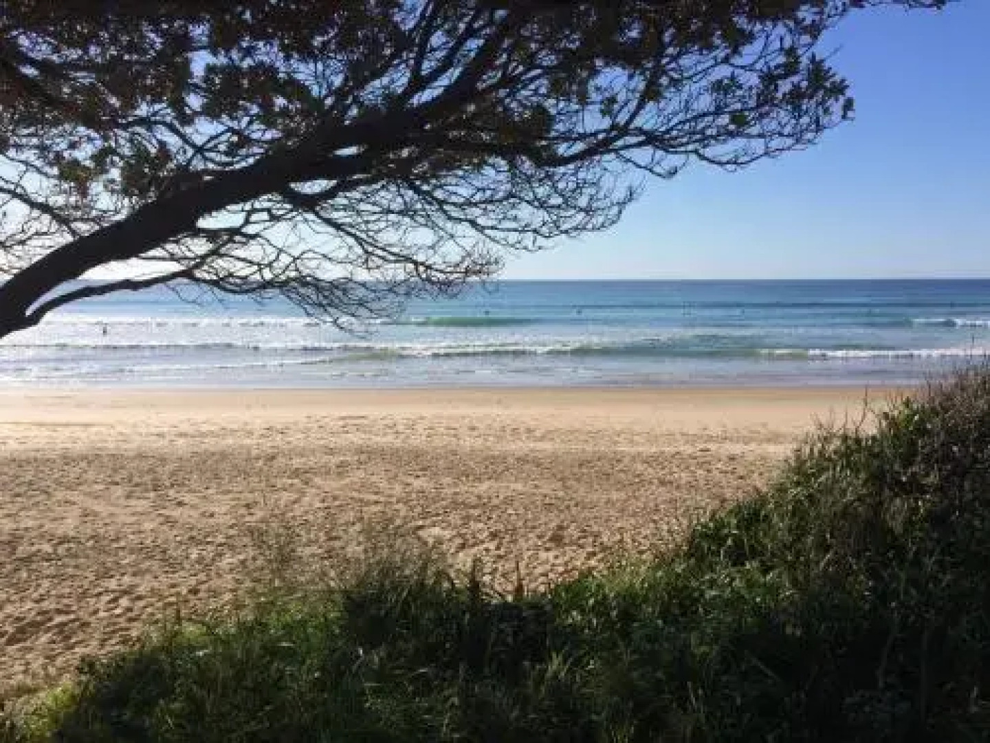Tallowood beachfront cottage