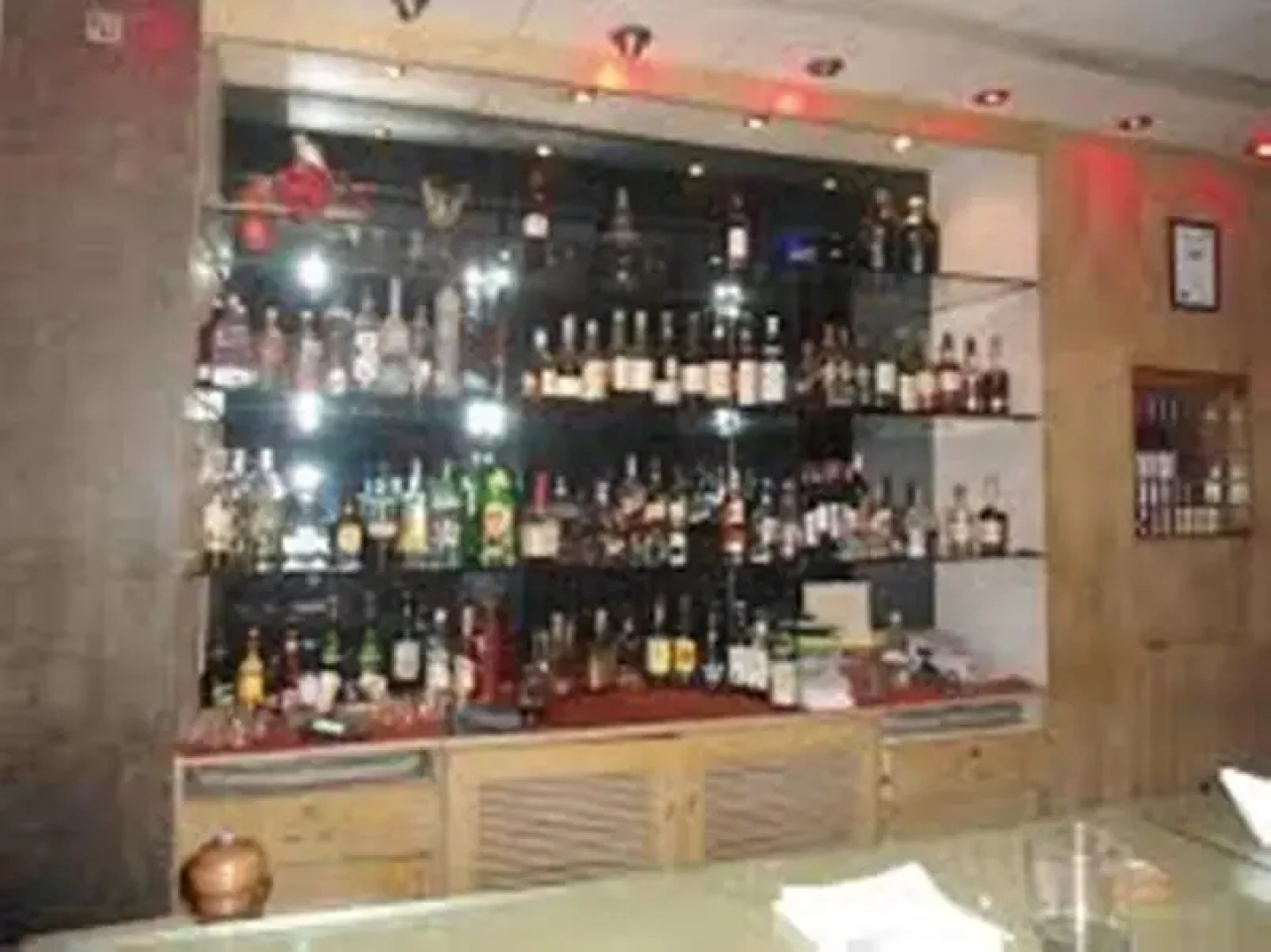 Hotel Hindusthan International