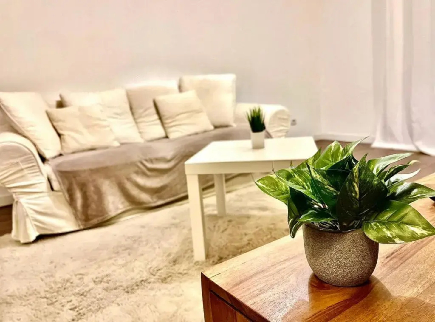 *Fontaine Moussue*Hyper Centre*T2 Standing*