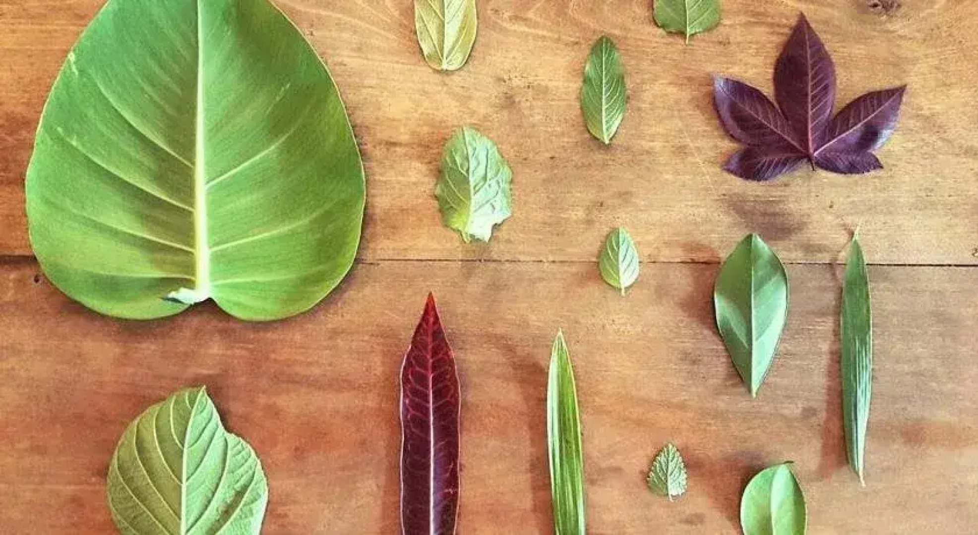 The POD SP Hostel & Bar