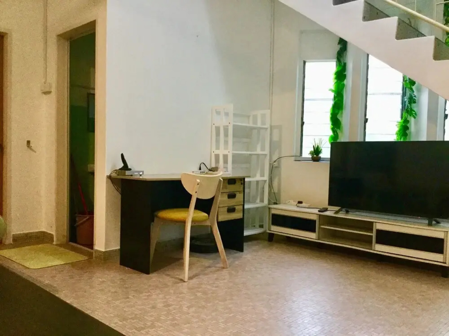 Sea Lion by the Beach