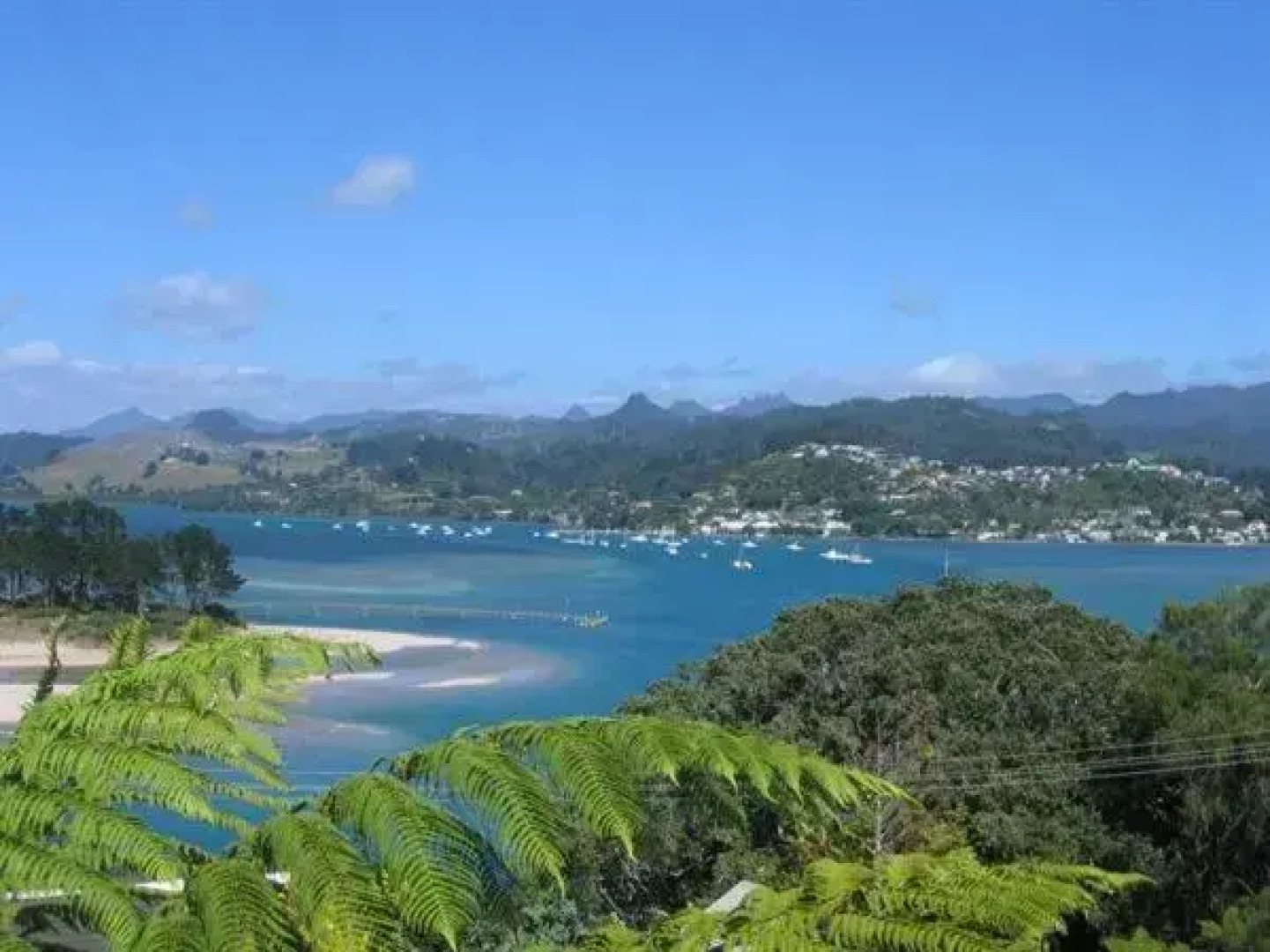 The Great Escape - Tairua Holiday Home