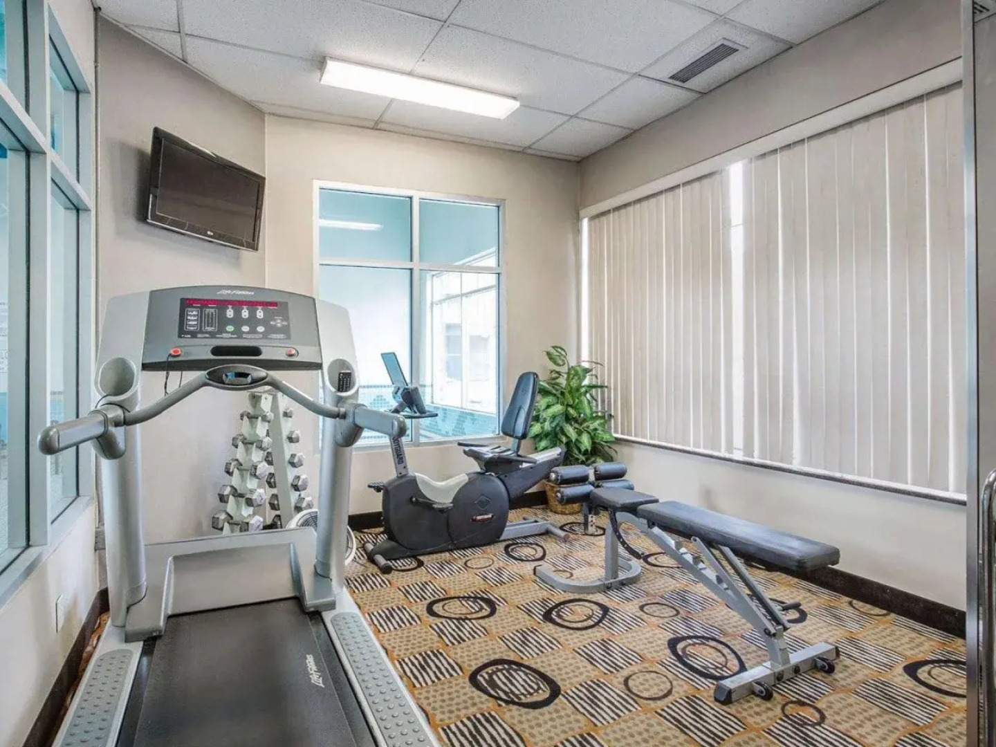 Comfort Inn And Suites South