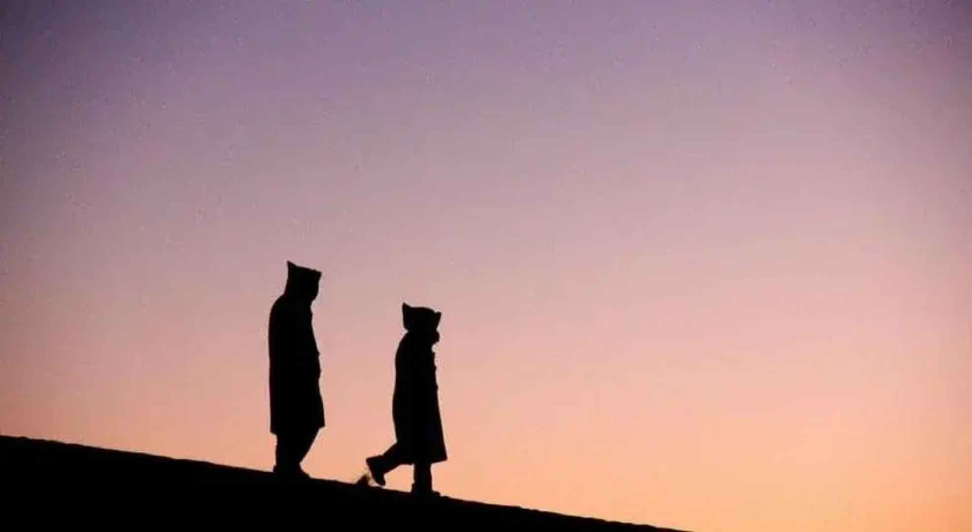 Ali & Sara's Desert Palace